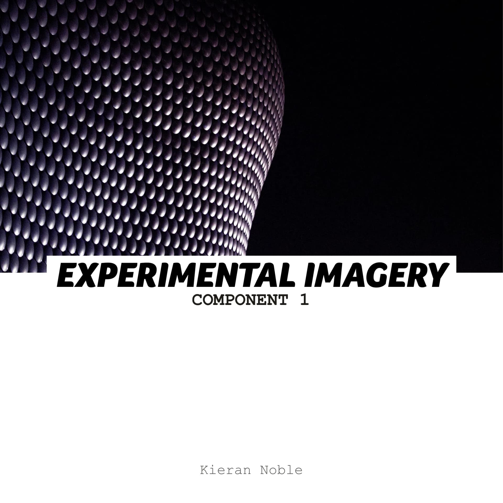 Documentation workbook for the project, containing a collection of experimental work, photoshoots, and development processes showcasing the creative journey.