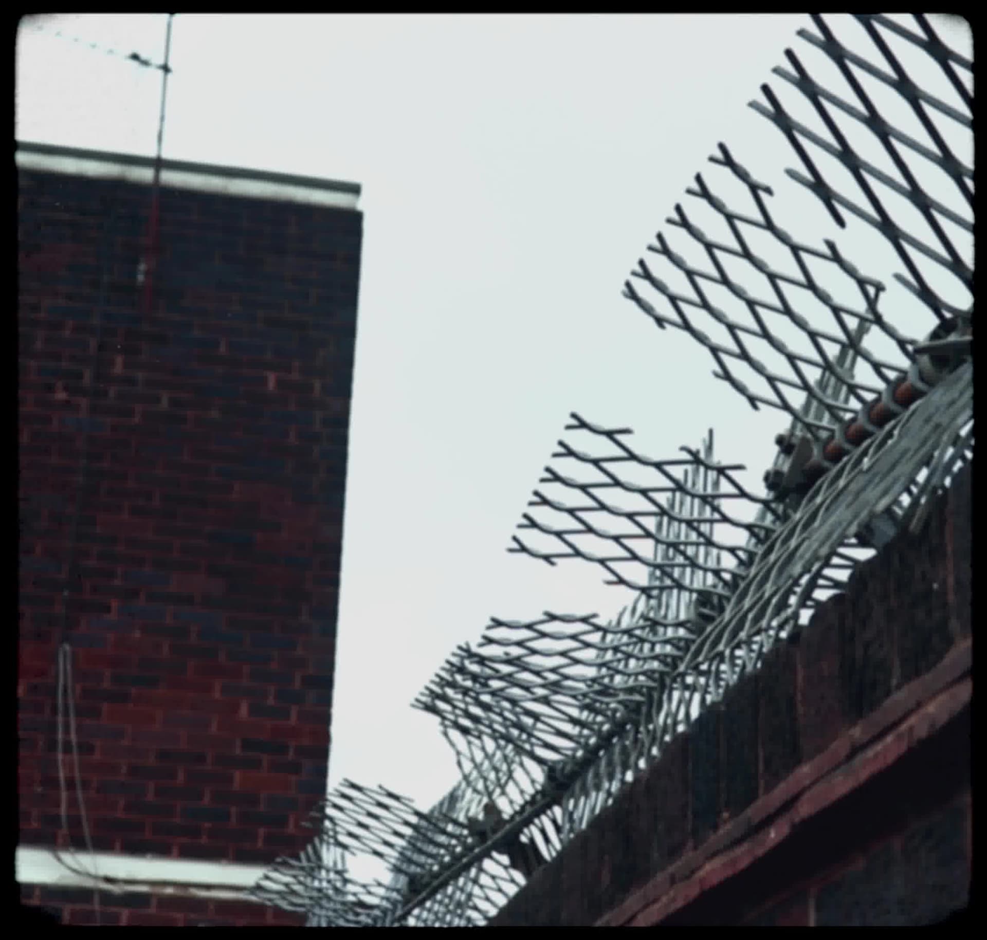 Vintage, film-like photography style with muted colors, soft focus, heavy grain, and black rounded borders, evoking a nostalgic, documentary feel.