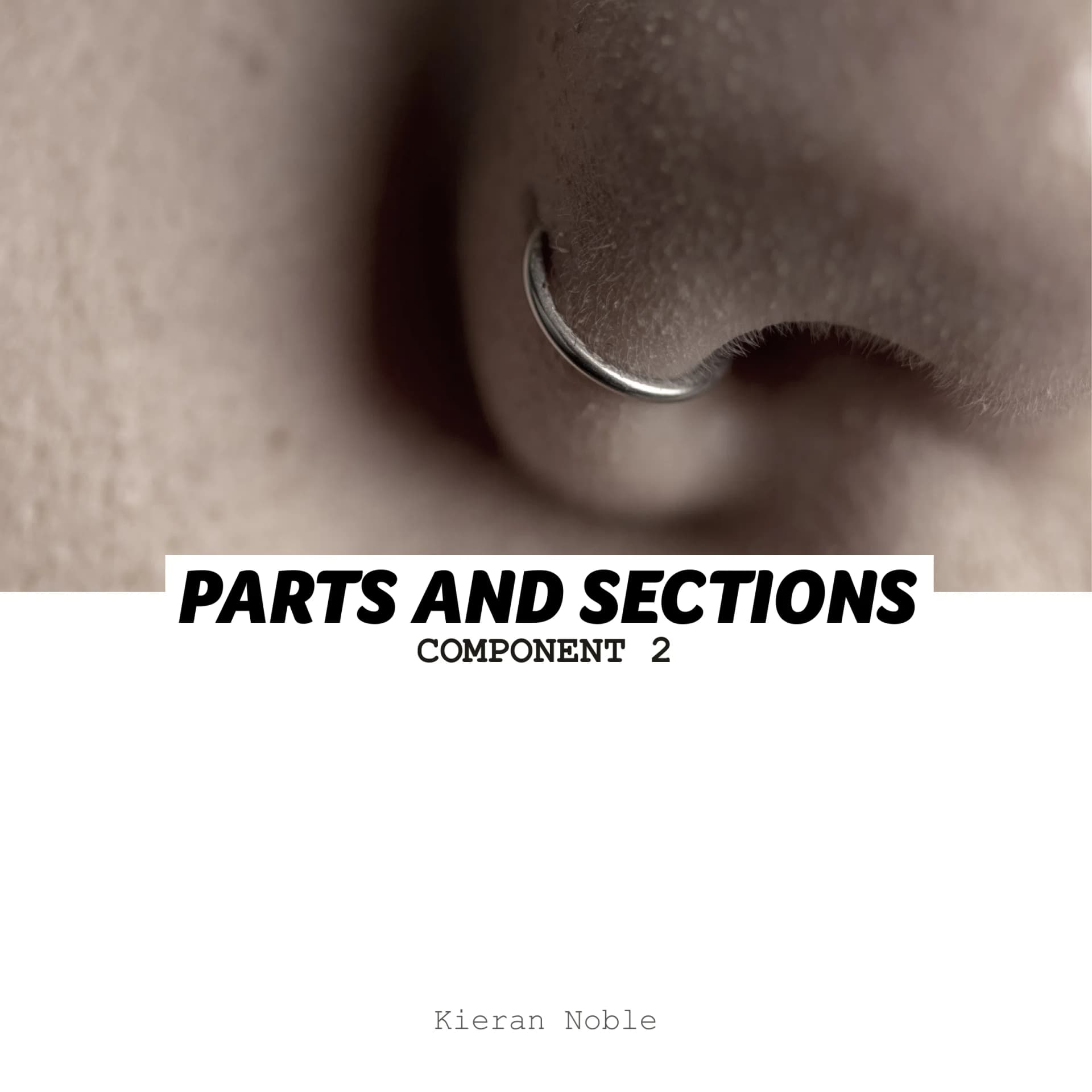 Documentation workbook for the project, containing a collection of experimental work, photoshoots, and development processes showcasing the creative journey.